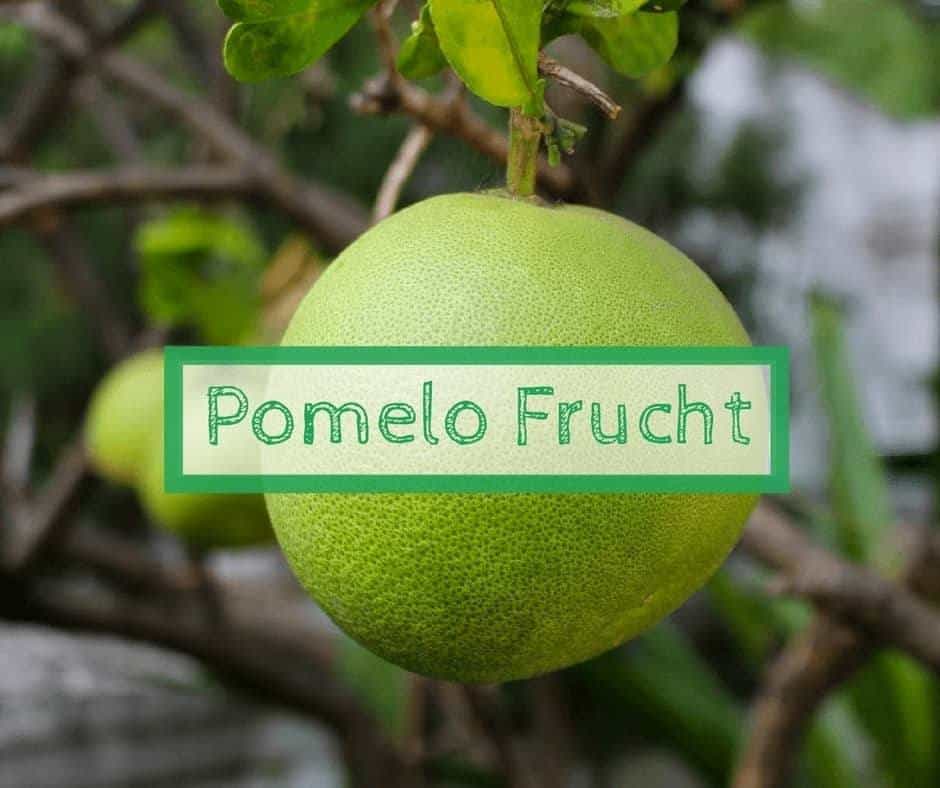 Pomelo Frucht