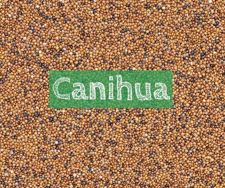 Canihua